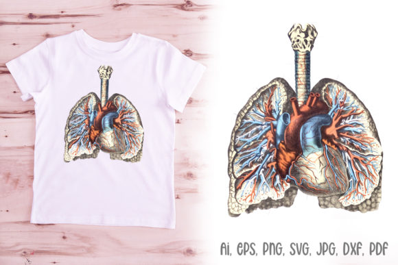 Lungs Illustration Anatomy Logo Design: A Creative Asset for Modern Projects